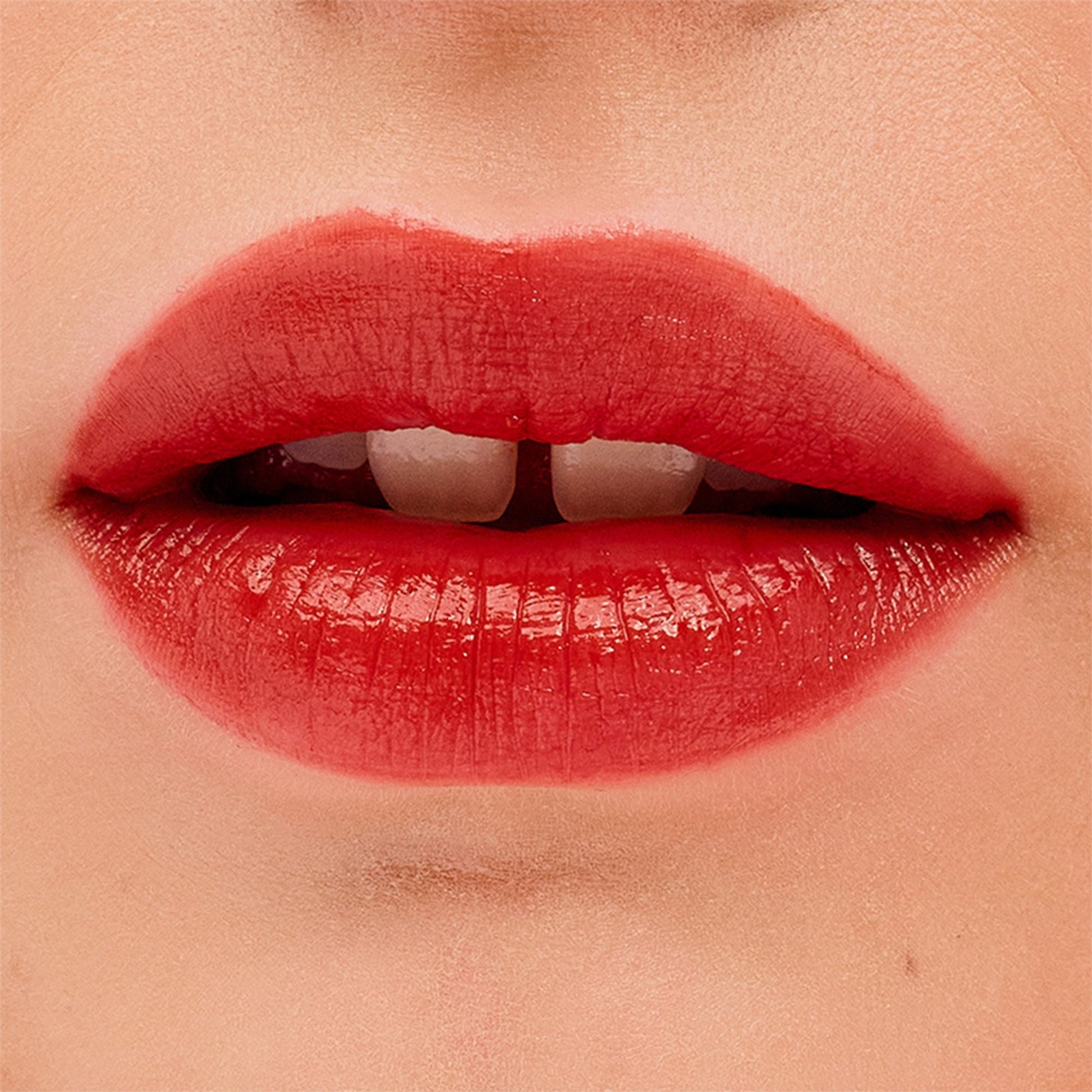 https://cdn.shopify.com/s/files/1/1857/6931/files/8746ae5602004149312-8.jpg?v=1769079301