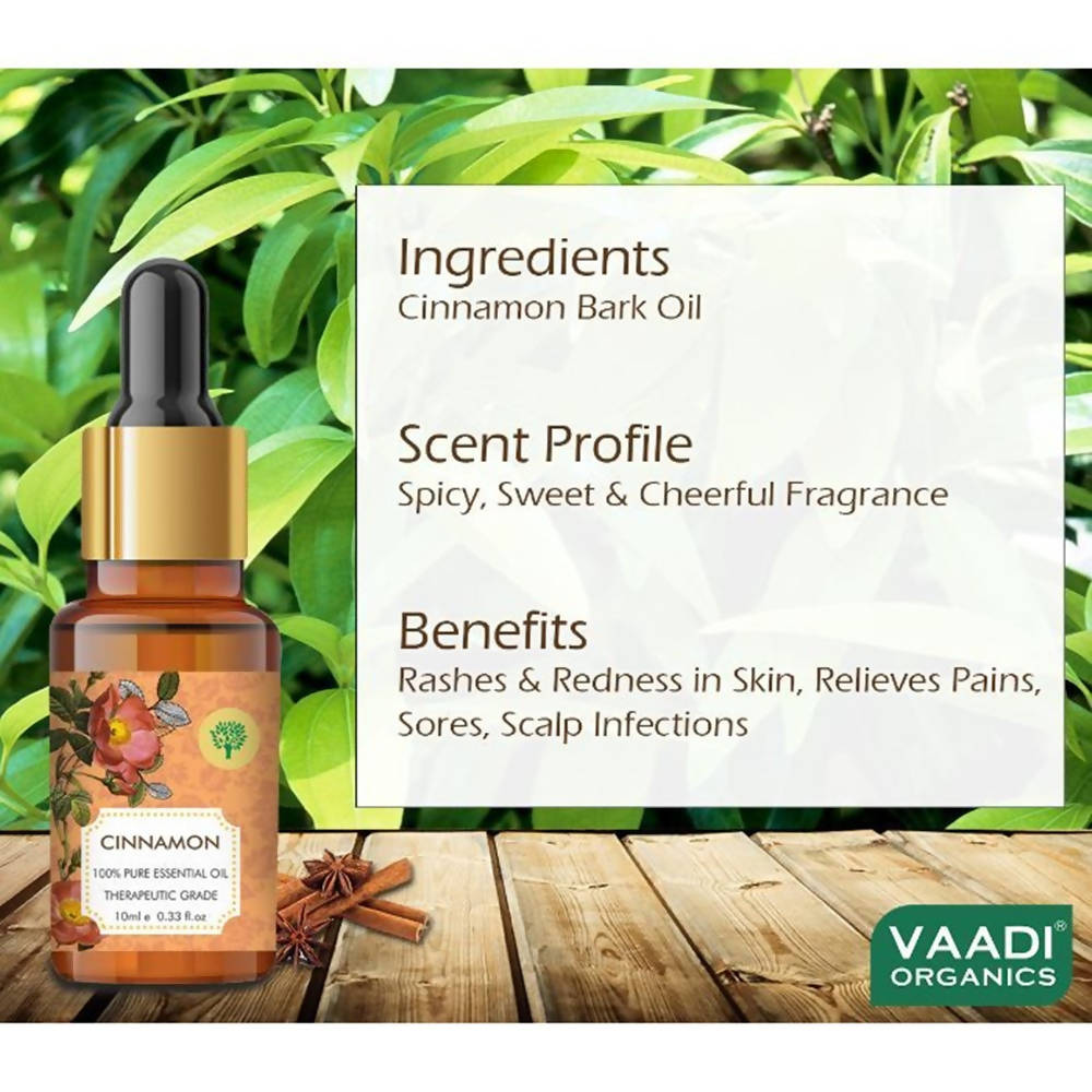 https://cdn.shopify.com/s/files/1/1857/6931/products/87FtMfz3br.jpg?v=1617935372
