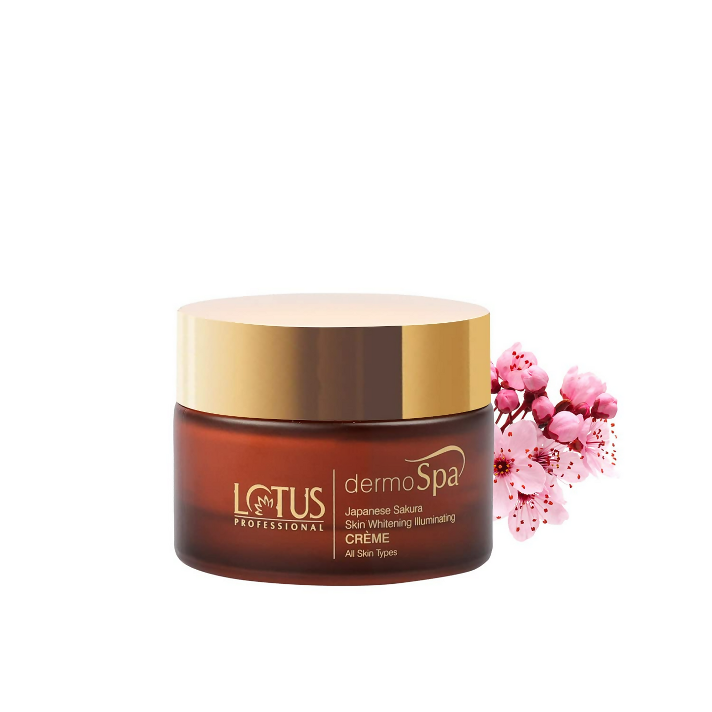 https://cdn.shopify.com/s/files/1/1857/6931/files/88Yq7EhrdO.png?v=1720515852