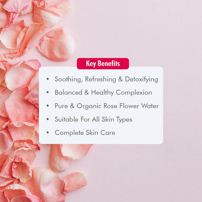 https://cdn.shopify.com/s/files/1/1857/6931/products/8902443500470_2.jpg?v=1649306175
