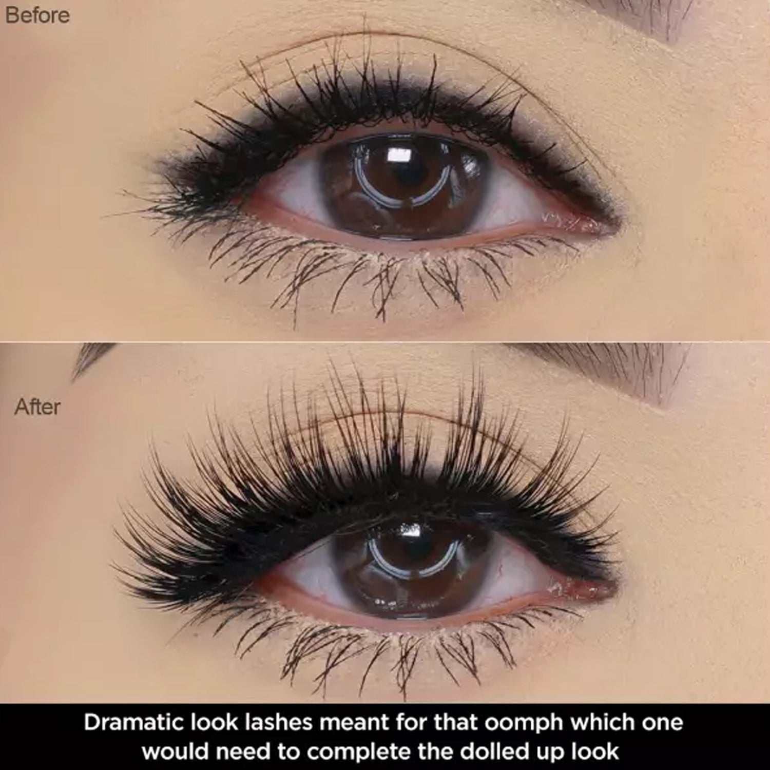 https://cdn.shopify.com/s/files/1/1857/6931/products/8904052433095-7.jpg?v=1677130969