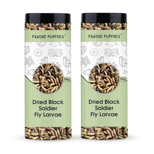 Image 2 of Pack of 2 for the product Foodie Puppies Dried Black Soldier Fly Larvae Fish Food