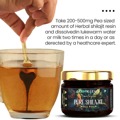 https://cdn.shopify.com/s/files/1/1857/6931/files/89cnEIny6l.jpg?v=1725528939