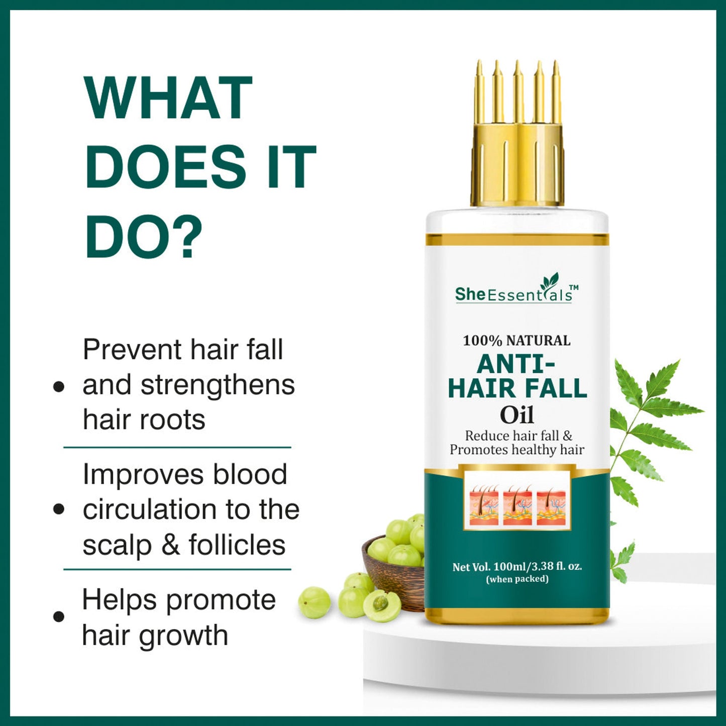 https://cdn.shopify.com/s/files/1/1857/6931/files/89e9ef88906143104686_2.jpg?v=1770630220