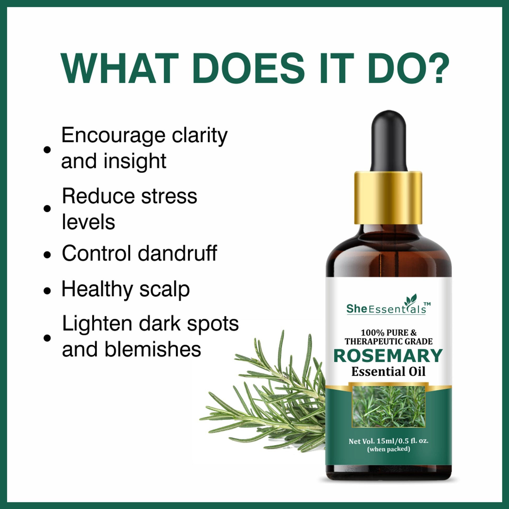https://cdn.shopify.com/s/files/1/1857/6931/files/89e9ef88906143108769_3.jpg?v=1770630297