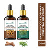 https://cdn.shopify.com/s/files/1/1857/6931/files/89e9ef88906143108875_1.jpg?v=1770630363