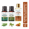 https://cdn.shopify.com/s/files/1/1857/6931/files/89e9ef88906143108905_1.jpg?v=1770630351