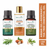 https://cdn.shopify.com/s/files/1/1857/6931/files/89e9ef88906143108943_1.jpg?v=1770630376