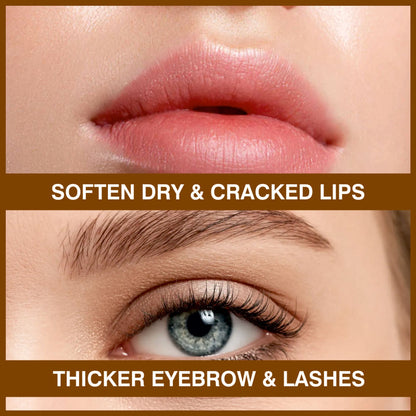 https://cdn.shopify.com/s/files/1/1857/6931/files/89e9ef88906143108950_4.jpg?v=1770630372