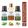 https://cdn.shopify.com/s/files/1/1857/6931/files/89e9ef88906143108998_1.jpg?v=1770630279