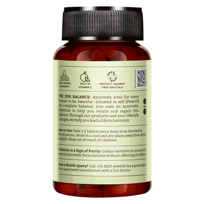 https://cdn.shopify.com/s/files/1/1857/6931/products/89hFahzByB.jpg?v=1684316392