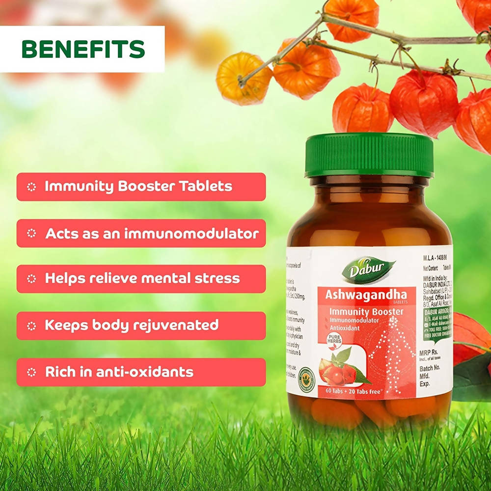 https://cdn.shopify.com/s/files/1/1857/6931/products/8BLt38aQAk.jpg?v=1707738771