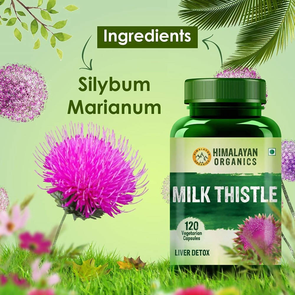 https://cdn.shopify.com/s/files/1/1857/6931/products/8DSwdEii0A.jpg?v=1626692303