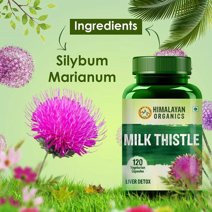 https://cdn.shopify.com/s/files/1/1857/6931/products/8DSwdEii0A.jpg?v=1626692303