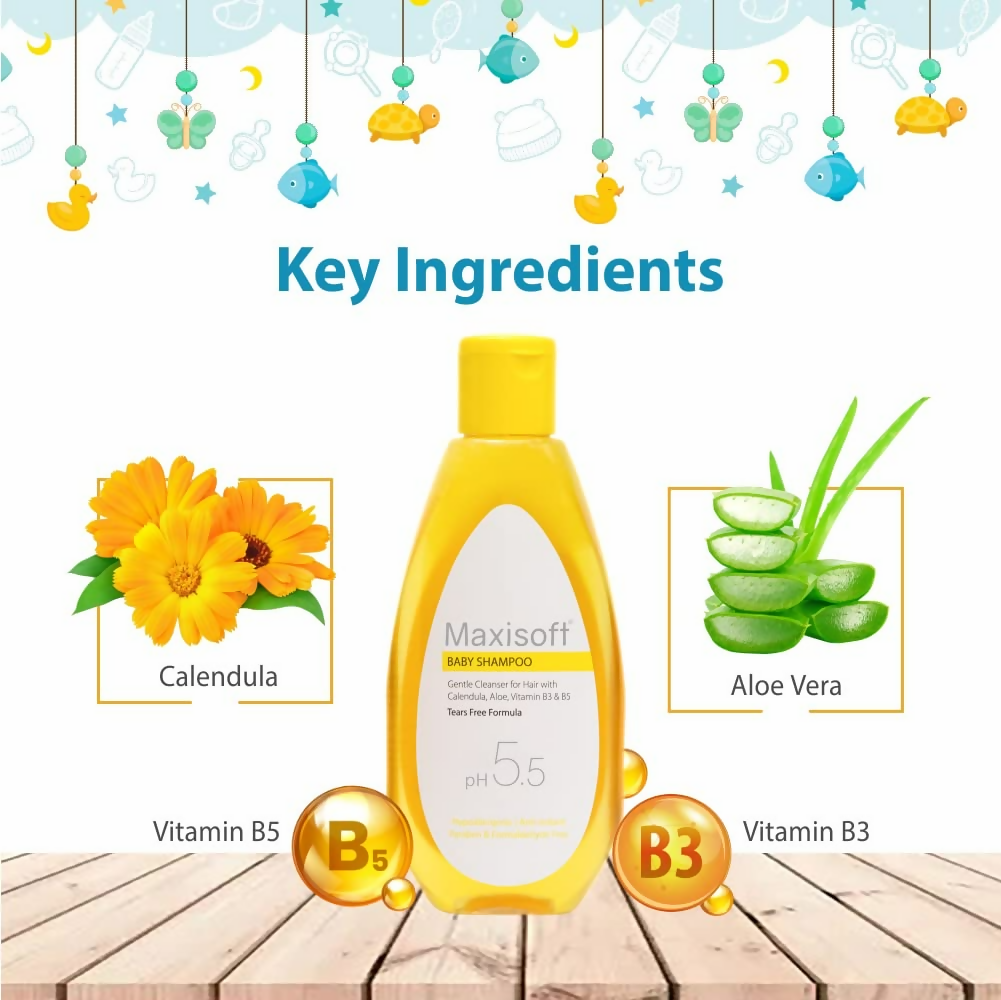 https://cdn.shopify.com/s/files/1/1857/6931/files/8Euuqo9Jxk.png?v=1731417990
