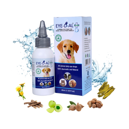 https://cdn.shopify.com/s/files/1/1857/6931/files/8FlrPAhcsq.png?v=1755063004