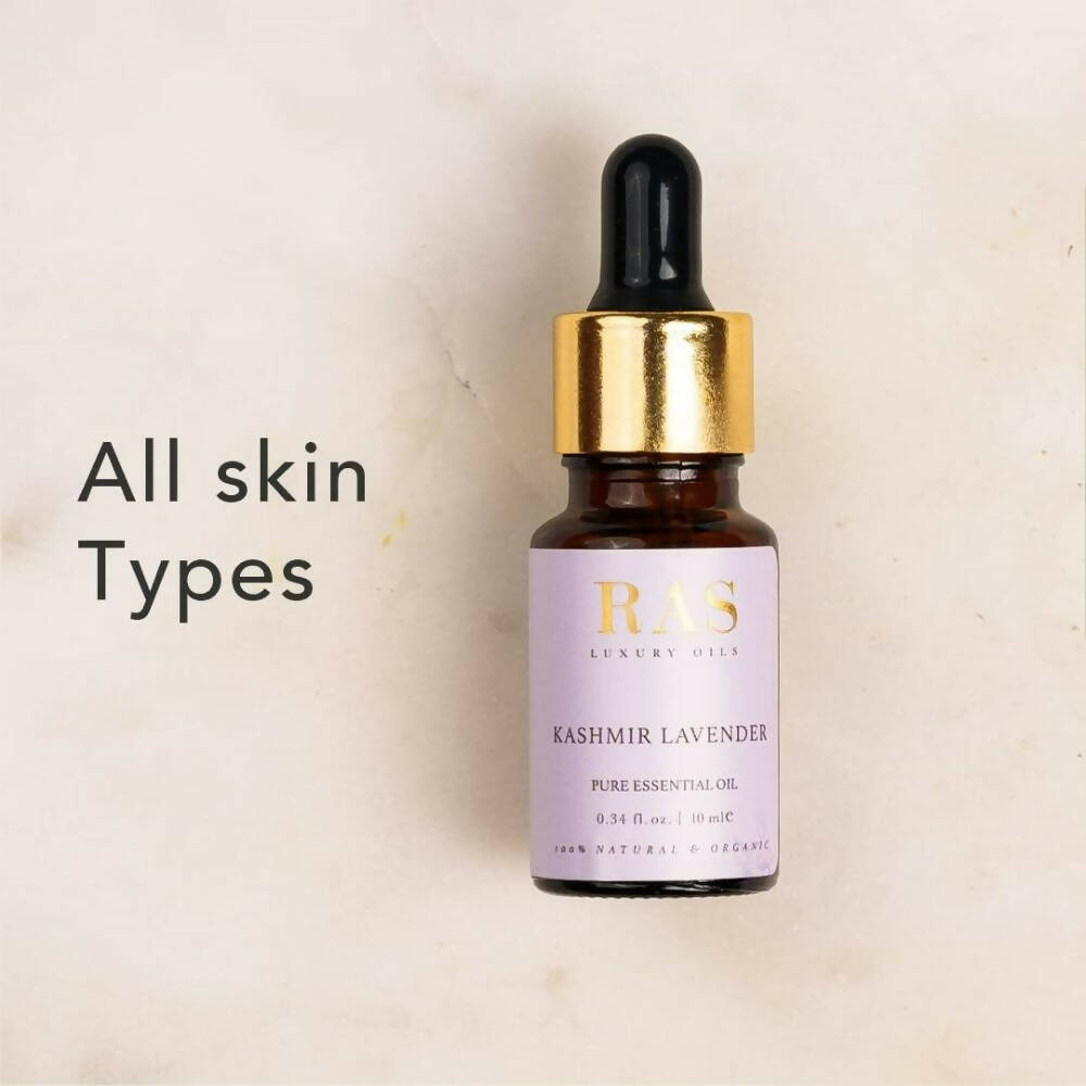 https://cdn.shopify.com/s/files/1/1857/6931/products/8H0c6DzzGG.jpg?v=1692700001
