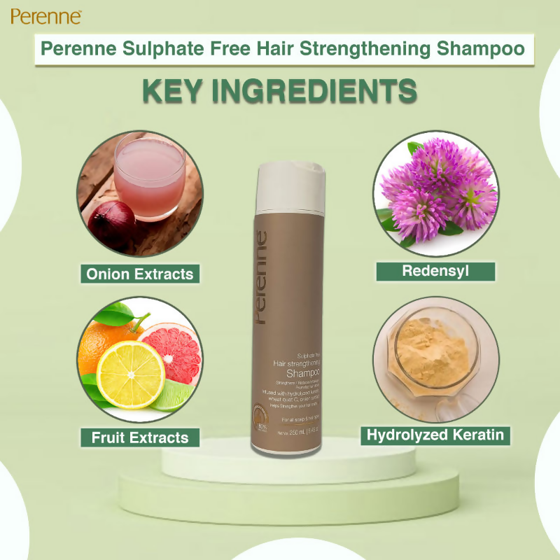 https://cdn.shopify.com/s/files/1/1857/6931/files/8KU6tKOT9r.png?v=1726060369