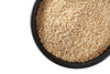 https://cdn.shopify.com/s/files/1/1857/6931/products/8Mjpdb5N0L.jpg?v=1762284628