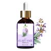 https://cdn.shopify.com/s/files/1/1857/6931/files/8QD0j2r2LZ.png?v=1752326680