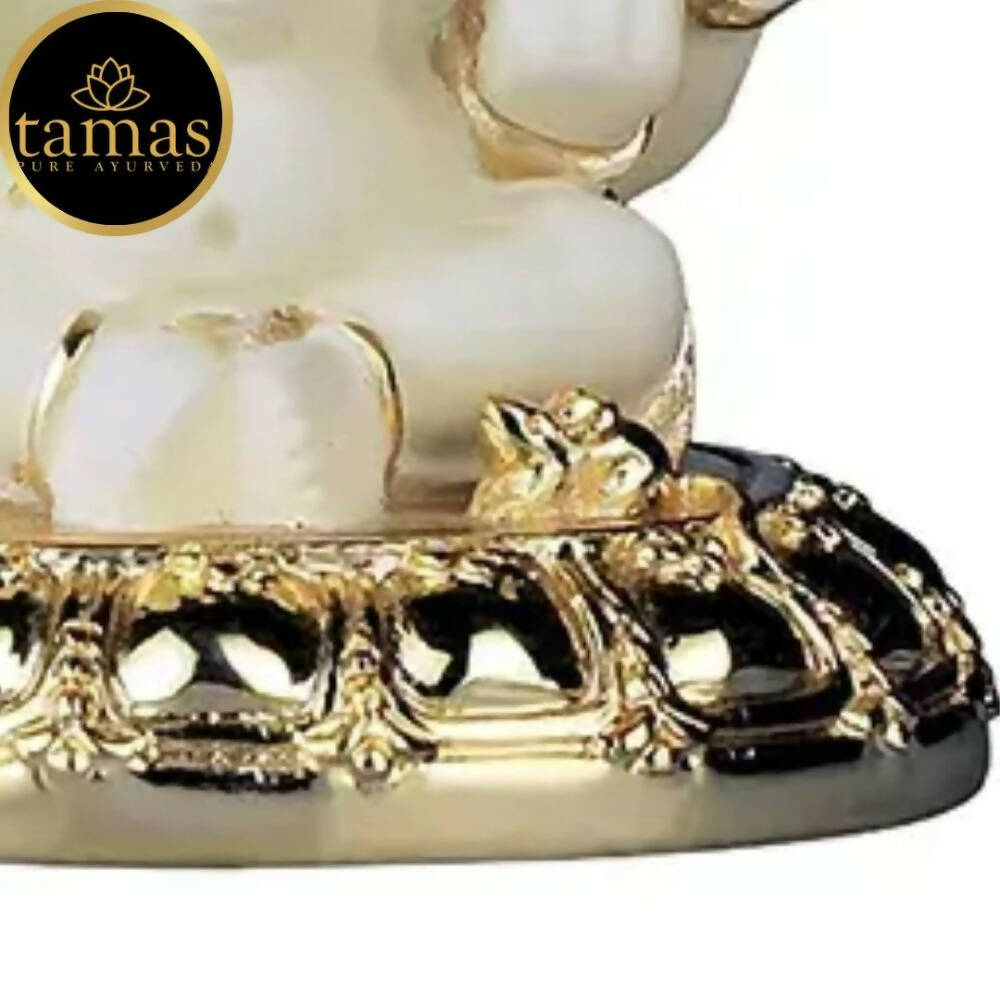 https://cdn.shopify.com/s/files/1/1857/6931/products/8U6wYAILaI.jpg?v=1676010928