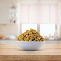 https://cdn.shopify.com/s/files/1/1857/6931/products/8V2PaTTYvO.jpg?v=1663307905