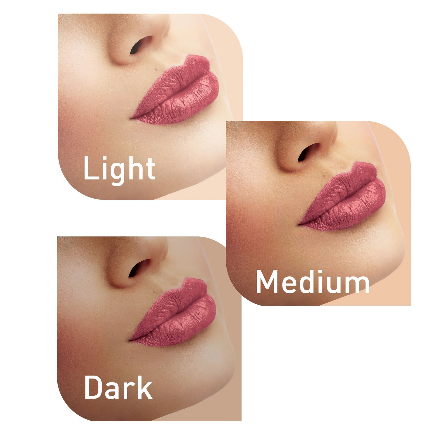https://cdn.shopify.com/s/files/1/1857/6931/files/8VhvO6jNXK.png?v=1752727536