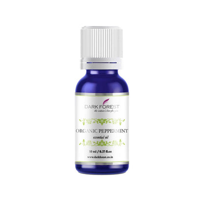 https://cdn.shopify.com/s/files/1/1857/6931/products/8WhvsqkTVk.jpg?v=1622476135