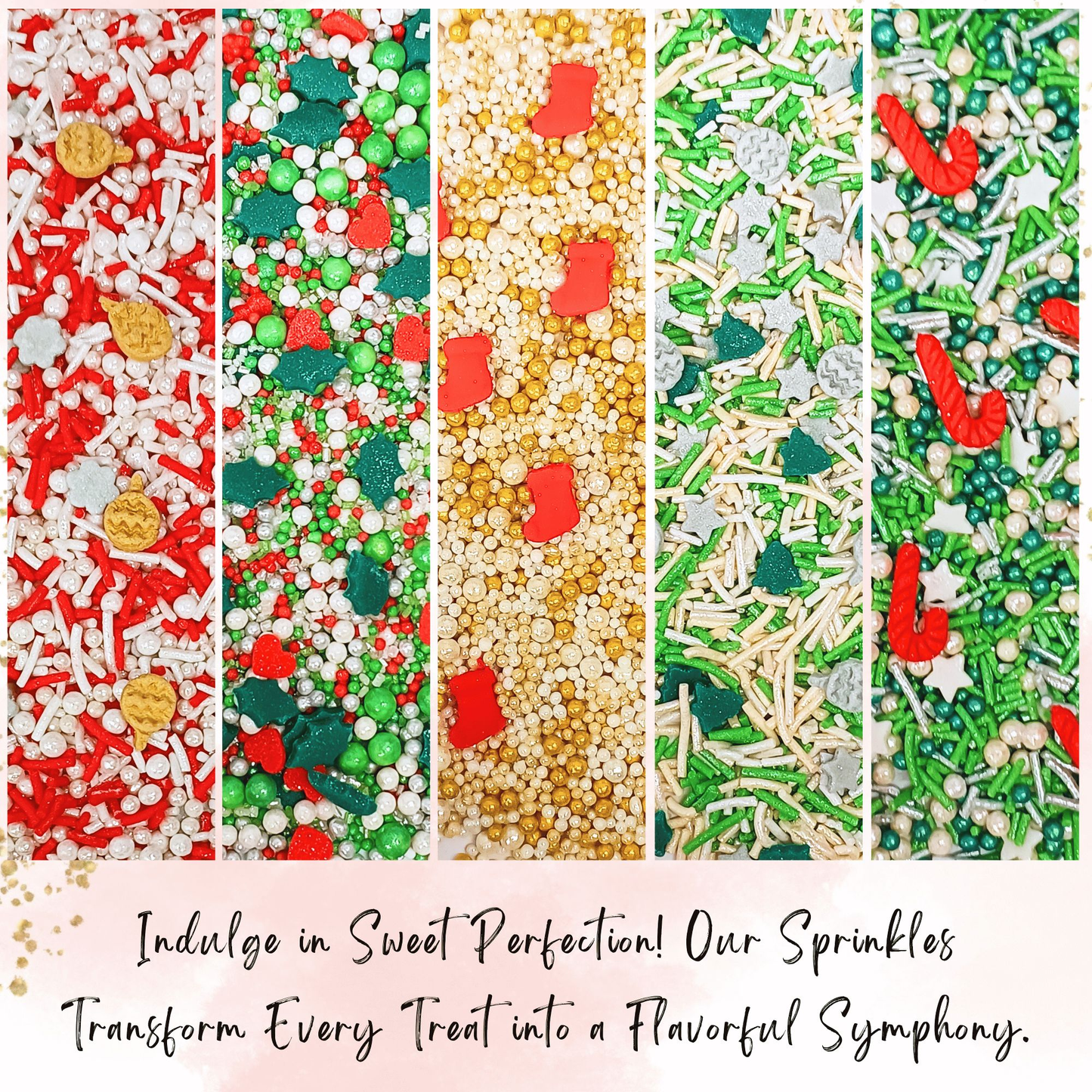 https://cdn.shopify.com/s/files/1/1857/6931/files/8_07ea01e4-6018-4b24-828d-131984089154.png?v=1769699667