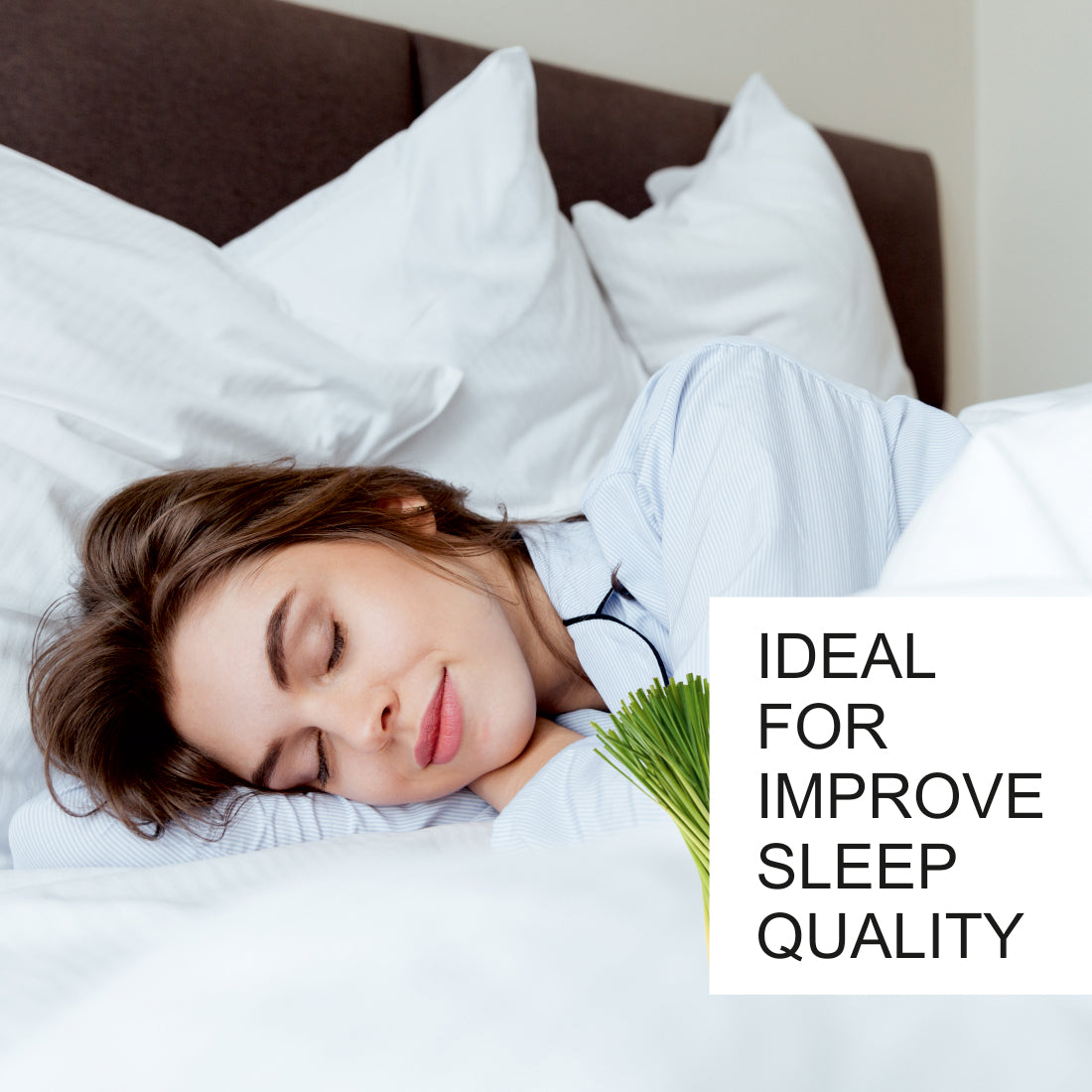 https://cdn.shopify.com/s/files/1/1857/6931/files/8_3d8247a2-0024-4512-9c62-d7679fb6d106.jpg?v=1765546702