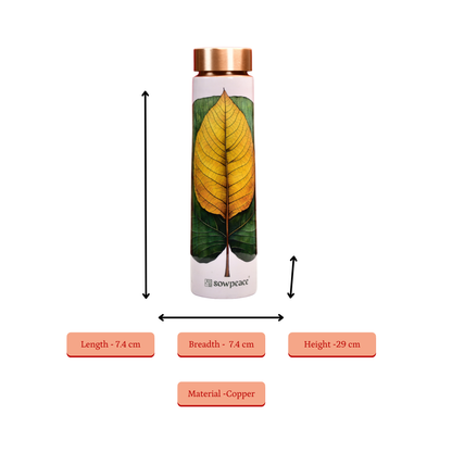 https://cdn.shopify.com/s/files/1/1857/6931/files/8_4f66b97f-bfe3-411b-b2ed-3efd186724b6.png?v=1752576360