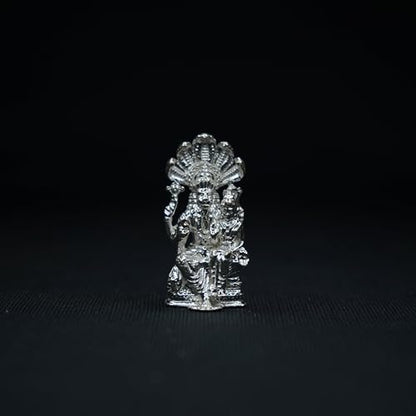 Image 1 of Default Title for the product Dista Silvers Narashimha Swamy 32g