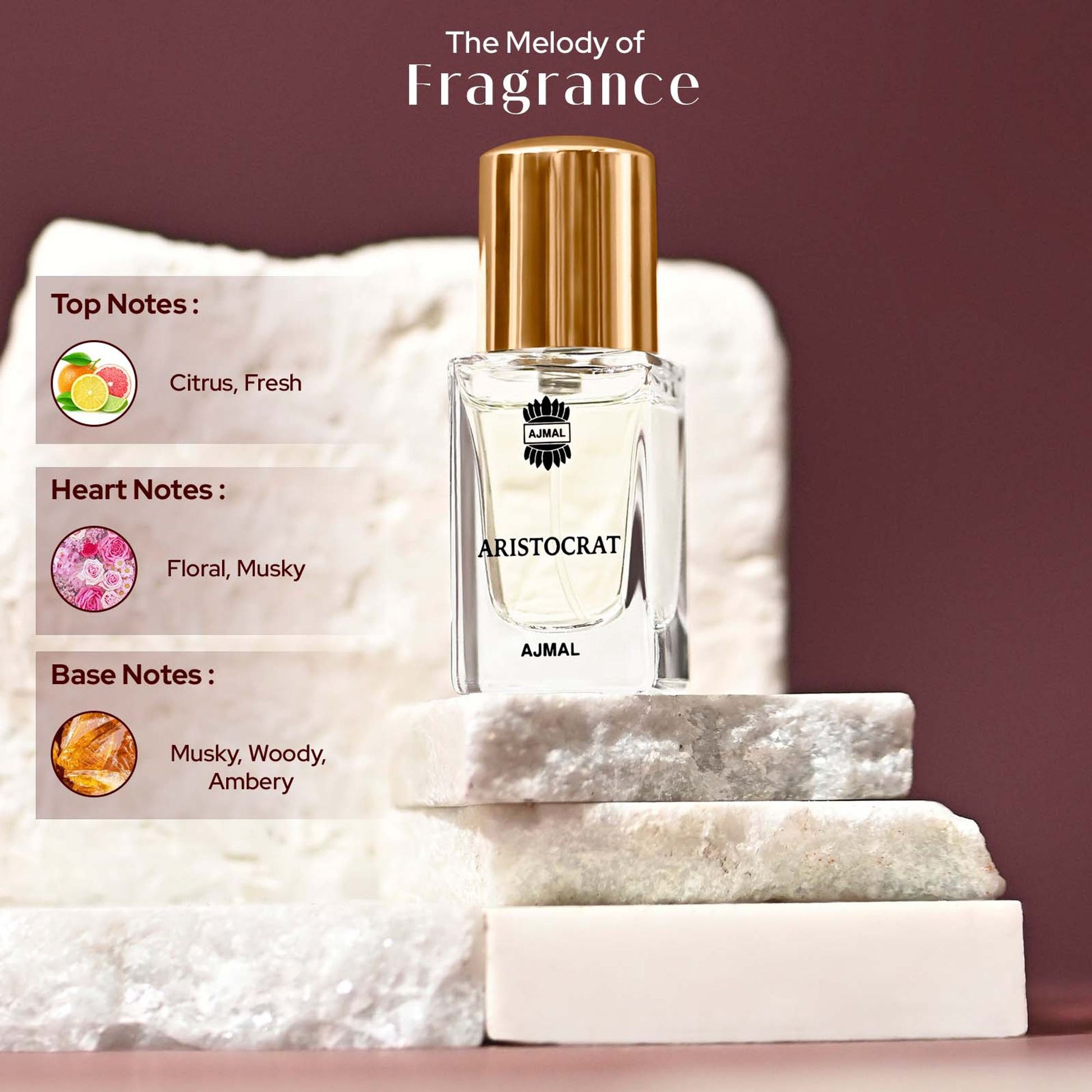 https://cdn.shopify.com/s/files/1/1857/6931/files/8bca0ef8906066311864_4.jpg?v=1779877778