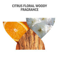 https://cdn.shopify.com/s/files/1/1857/6931/products/8ehAbxjjKA.jpg?v=1666790467