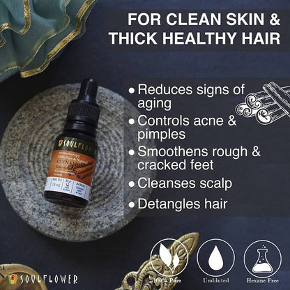 https://cdn.shopify.com/s/files/1/1857/6931/products/8f4Q9kClzU.jpg?v=1614911248