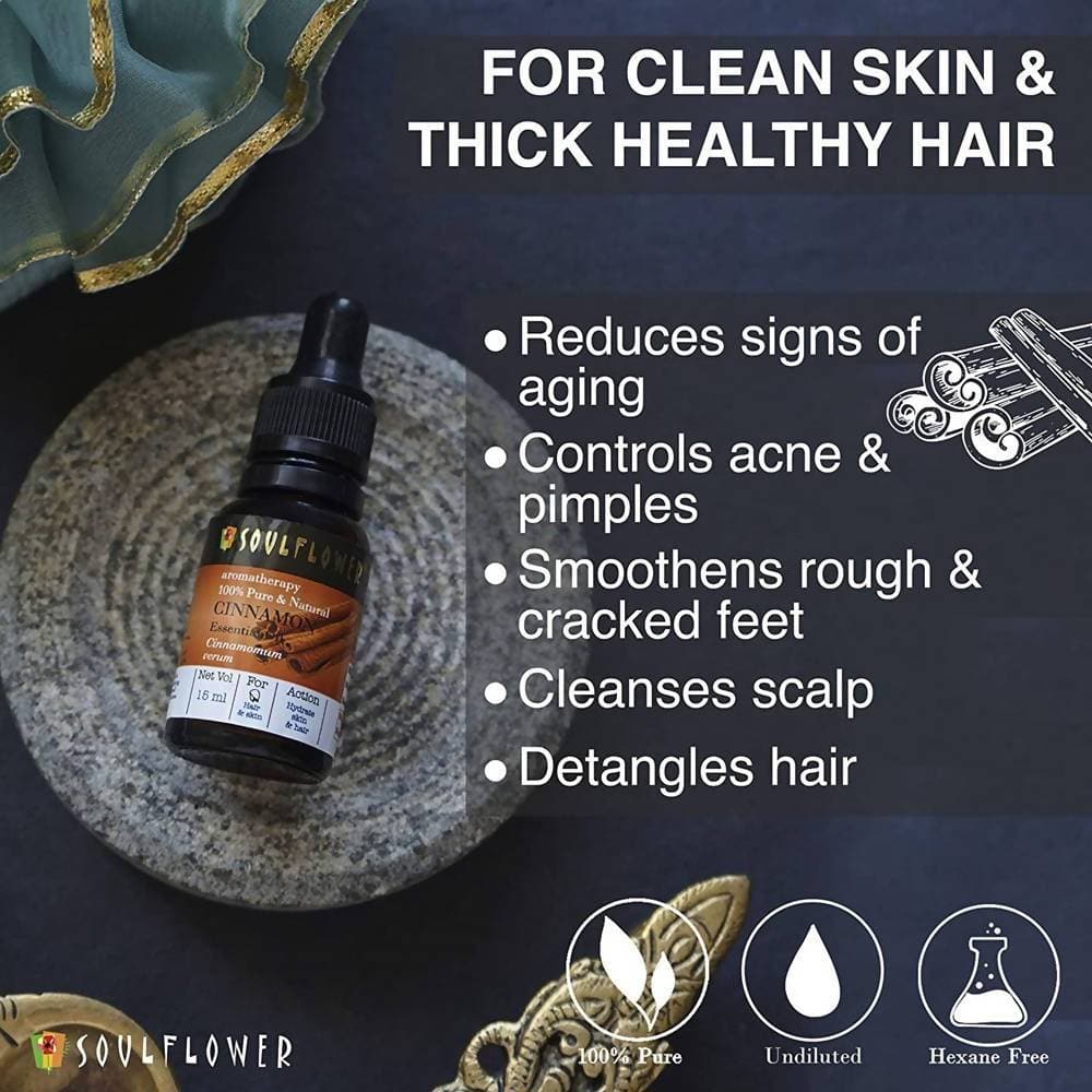 https://cdn.shopify.com/s/files/1/1857/6931/products/8f4Q9kClzU.jpg?v=1614911248