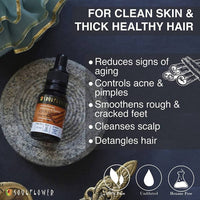 https://cdn.shopify.com/s/files/1/1857/6931/products/8f4Q9kClzU.jpg?v=1614911248