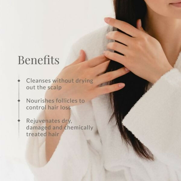 https://cdn.shopify.com/s/files/1/1857/6931/files/8gxXUtOmKK.jpg?v=1731405317