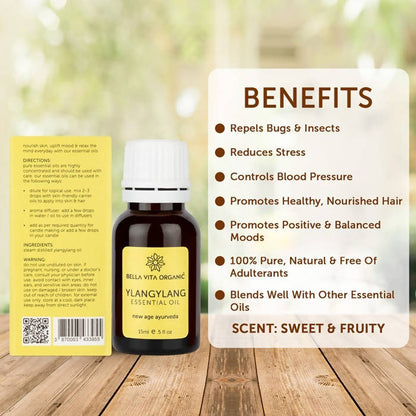 https://cdn.shopify.com/s/files/1/1857/6931/products/8itaHxLrxA.jpg?v=1625797833