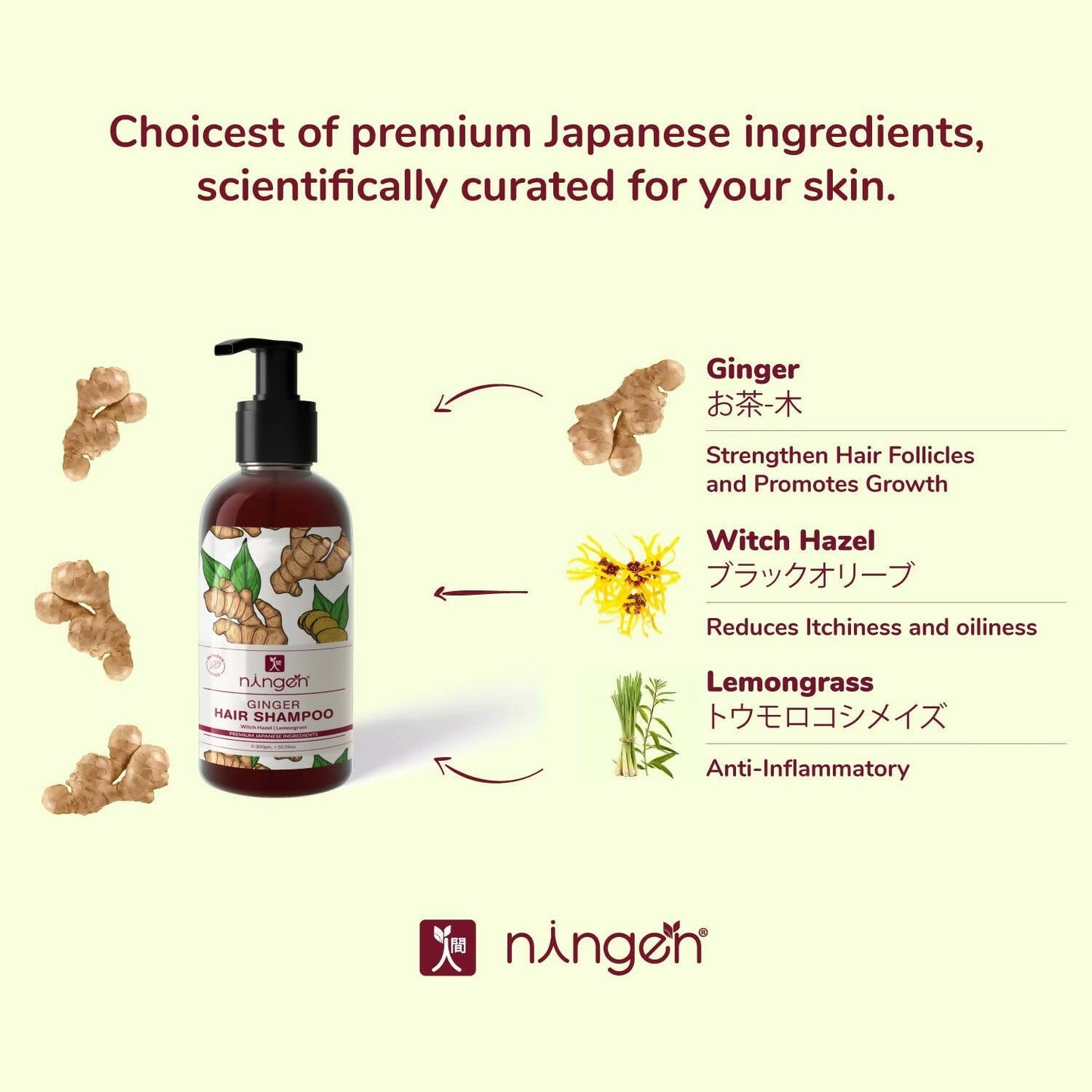 https://cdn.shopify.com/s/files/1/1857/6931/products/8kA61ZwjGP.jpg?v=1666434219