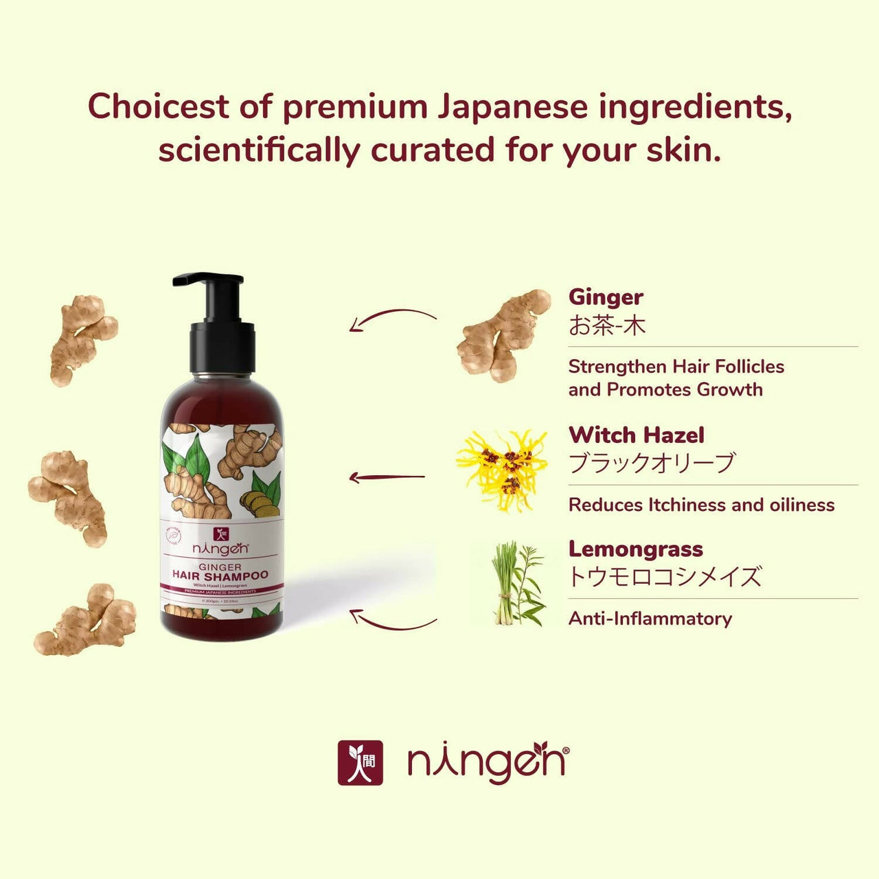 https://cdn.shopify.com/s/files/1/1857/6931/products/8kA61ZwjGP.jpg?v=1666434219