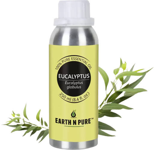 https://cdn.shopify.com/s/files/1/1857/6931/products/8lKdujYwgA.jpg?v=1646137590