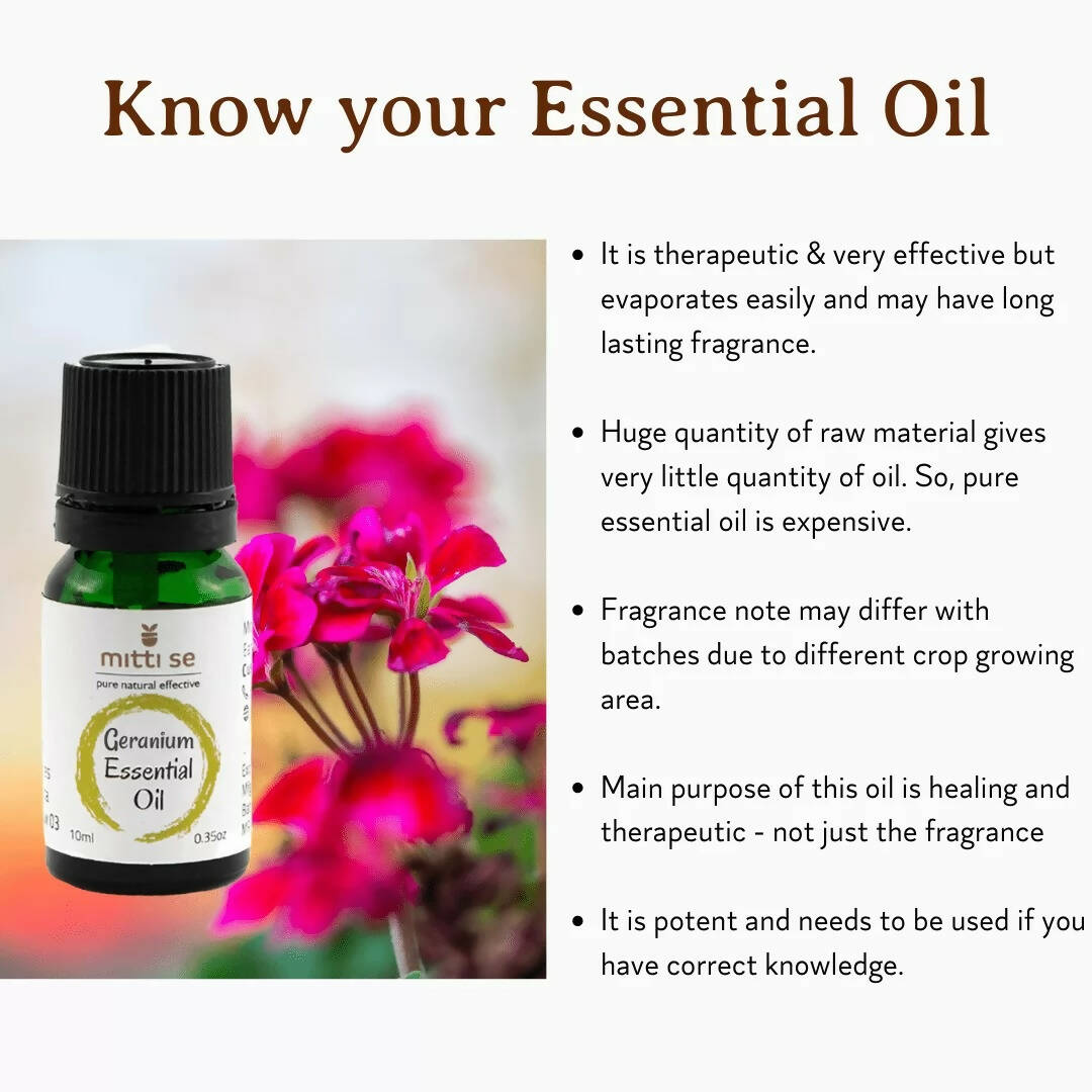 https://cdn.shopify.com/s/files/1/1857/6931/products/8lQPI7HeCS.jpg?v=1670582921