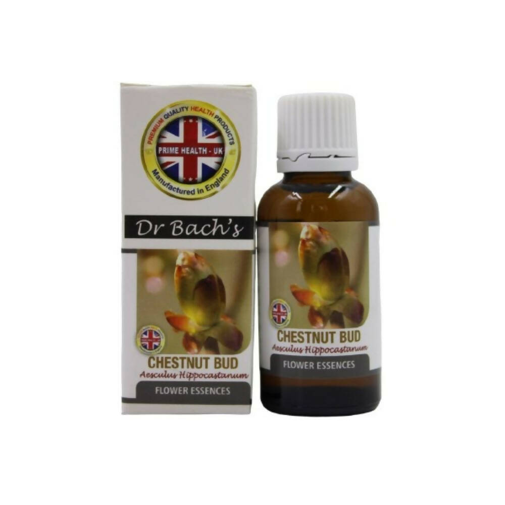 https://cdn.shopify.com/s/files/1/1857/6931/products/8mjsrFXLEf.jpg?v=1759374425