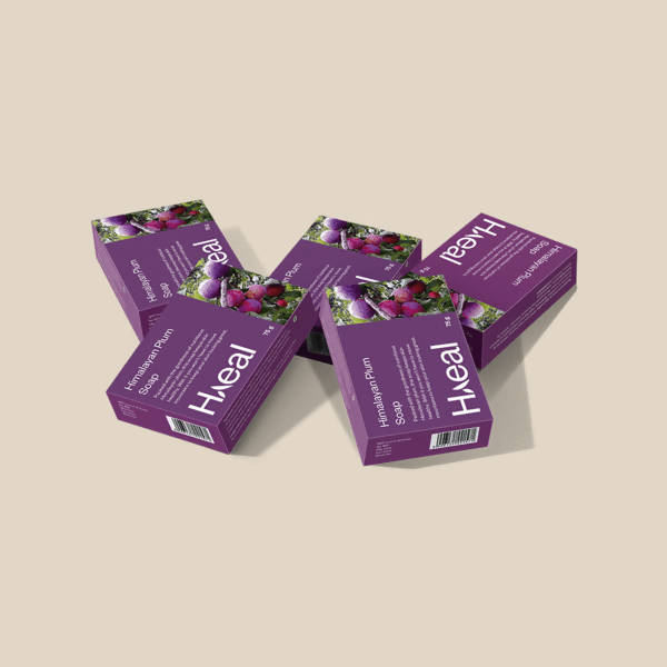https://cdn.shopify.com/s/files/1/1857/6931/products/8mqezpIOvT.jpg?v=1631364189
