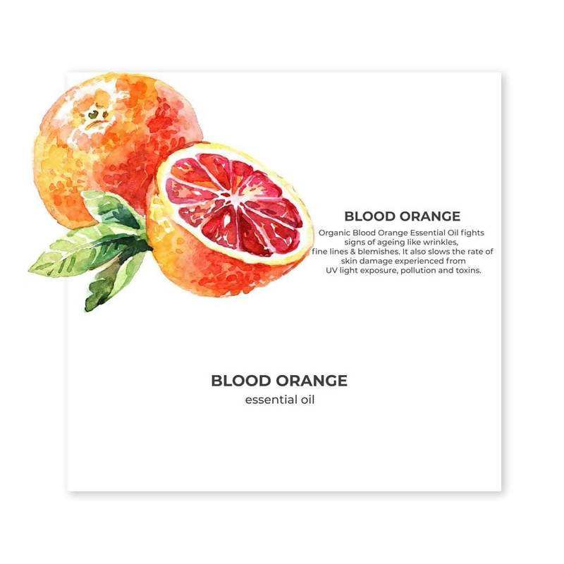 https://cdn.shopify.com/s/files/1/1857/6931/products/8qmcoz5XZ1.jpg?v=1627612128