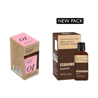 https://cdn.shopify.com/s/files/1/1857/6931/products/8quMYZ1kqX.jpg?v=1677733024