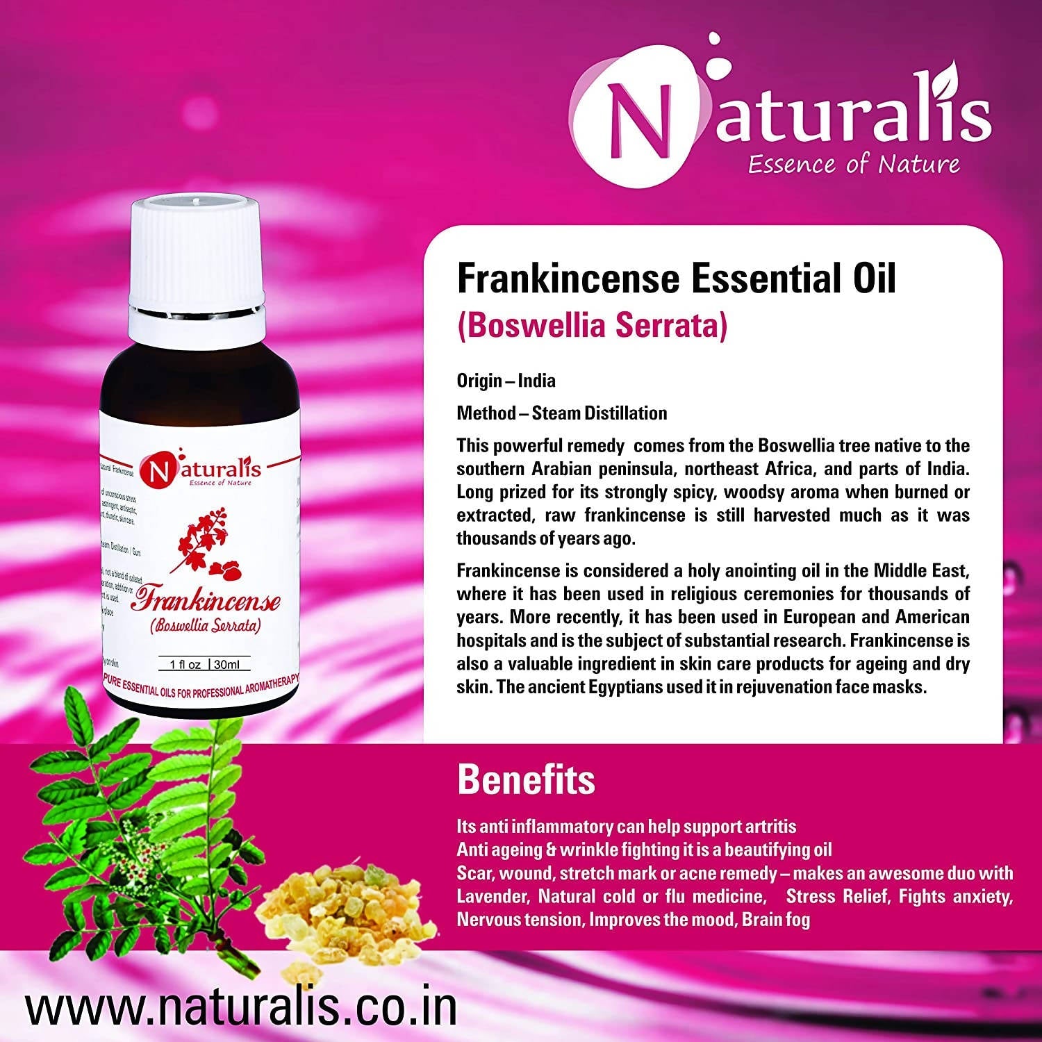 https://cdn.shopify.com/s/files/1/1857/6931/products/8tQWOpIjlu.jpg?v=1623493682