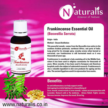 https://cdn.shopify.com/s/files/1/1857/6931/products/8tQWOpIjlu.jpg?v=1623493682