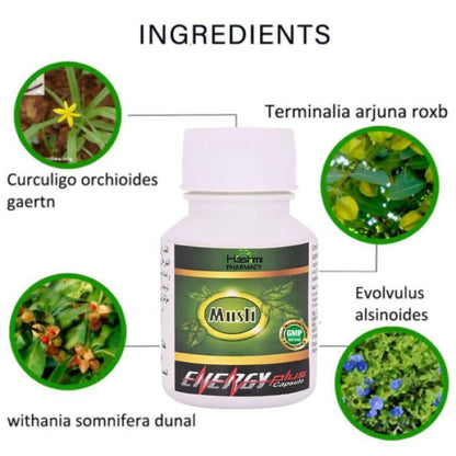 https://cdn.shopify.com/s/files/1/1857/6931/files/8tnj9ncTya.jpg?v=1720618203